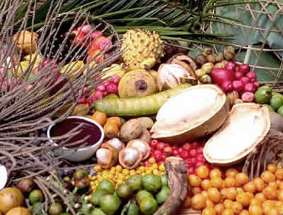 As “drogas do sertão” eram empregadas com as mais diferentes finalidades culinárias e medicinais